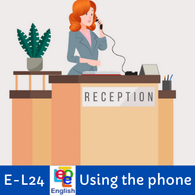 LE-E-L24 Using the phone